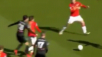 进化的速度 进化的速度